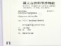 登錄號:F0011712藏品圖，第2張
