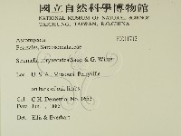 登錄號:F0011713藏品圖，第2張