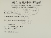 登錄號:F0011715藏品圖，第2張
