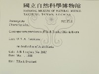 登錄號:F0011718藏品圖，第2張