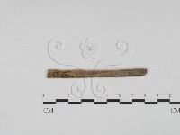 登錄號:F0011718藏品圖，第3張