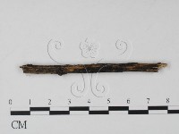 登錄號:F0011719藏品圖，第1張