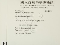 登錄號:F0011720藏品圖，第2張