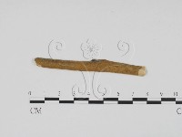 登錄號:F0011721藏品圖，第1張