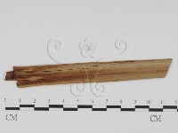 登錄號:F0011722藏品圖，第3張