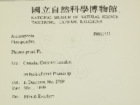 登錄號:F0011723藏品圖，第2張