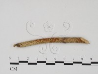 登錄號:F0011724藏品圖，第1張
