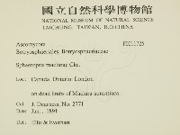 登錄號:F0011725藏品圖，第2張