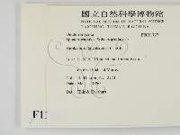 登錄號:F0011727藏品圖，第2張