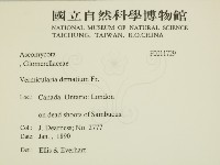 登錄號:F0011729藏品圖，第2張