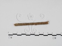 登錄號:F0011729藏品圖，第1張