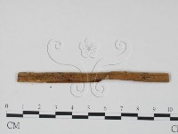 登錄號:F0011730藏品圖，第3張