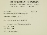 登錄號:F0011731藏品圖，第2張