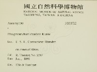 登錄號:F0011732藏品圖，第2張