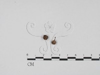 登錄號:F0011733藏品圖，第1張