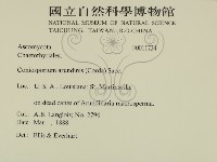 登錄號:F0011734藏品圖，第2張