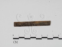 登錄號:F0011734藏品圖，第1張