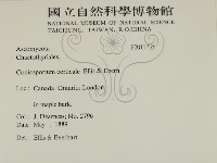 登錄號:F0011735藏品圖，第2張