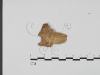 登錄號:F0011735藏品圖，第3張