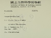 登錄號:F0011736藏品圖，第2張