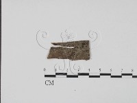 登錄號:F0011736藏品圖，第1張