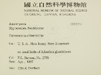 登錄號:F0011737藏品圖，第2張