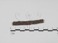 登錄號:F0011738藏品圖，第1張