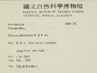登錄號:F0011740藏品圖，第2張