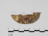 登錄號:F0011740藏品圖，第3張