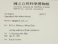 登錄號:F0011741藏品圖，第2張