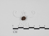 登錄號:F0011741藏品圖，第1張