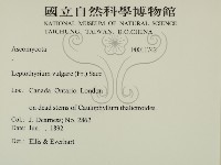 登錄號:F0011742藏品圖，第2張