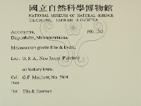 登錄號:F0011743藏品圖，第2張