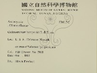 登錄號:F0011745藏品圖，第2張