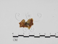 登錄號:F0011745藏品圖，第3張