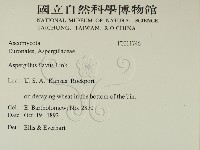 登錄號:F0011746藏品圖，第2張