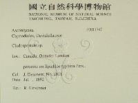 登錄號:F0011747藏品圖，第2張