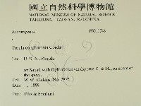登錄號:F0011748藏品圖，第2張