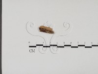 登錄號:F0011748藏品圖，第3張