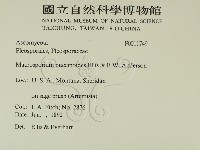 登錄號:F0011749藏品圖，第2張