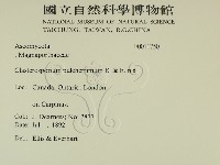 登錄號:F0011750藏品圖，第2張