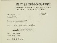 登錄號:F0011751藏品圖，第2張