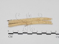登錄號:F0011751藏品圖，第3張