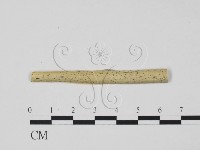 登錄號:F0011753藏品圖，第1張