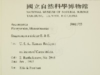 登錄號:F0011755藏品圖，第2張
