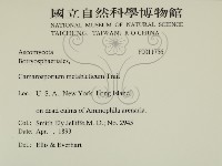 登錄號:F0011756藏品圖，第2張