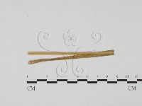 登錄號:F0011756藏品圖，第1張