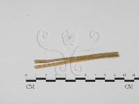 登錄號:F0011756藏品圖，第3張