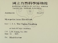 登錄號:F0011757藏品圖，第2張