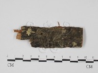 登錄號:F0011757藏品圖，第3張